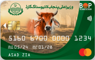 CM Punjab Livestock Card